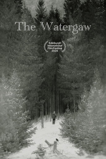 The Watergaw movie poster