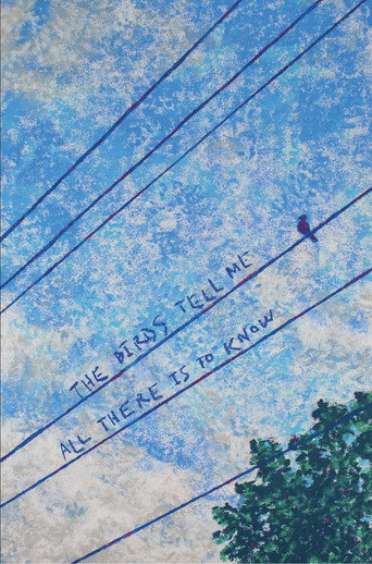 The Birds Tell Me All There Is To Know movie poster