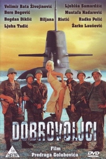 Volunteers movie poster