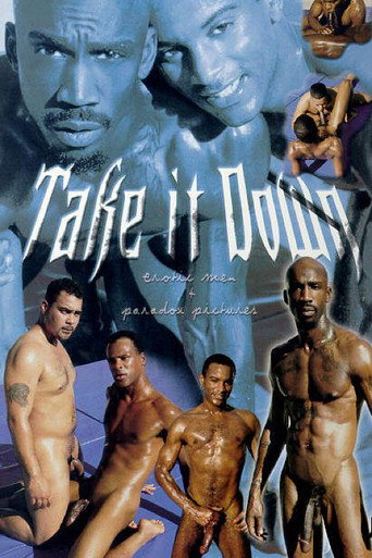 Take It Down movie poster