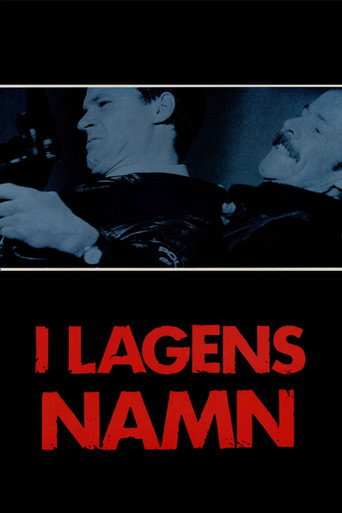 In the Name of the Law movie poster