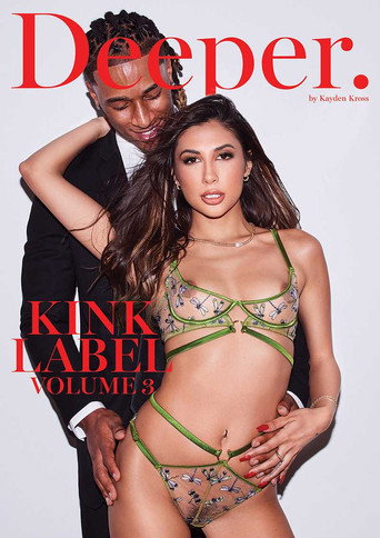 Kink Label 3 movie poster