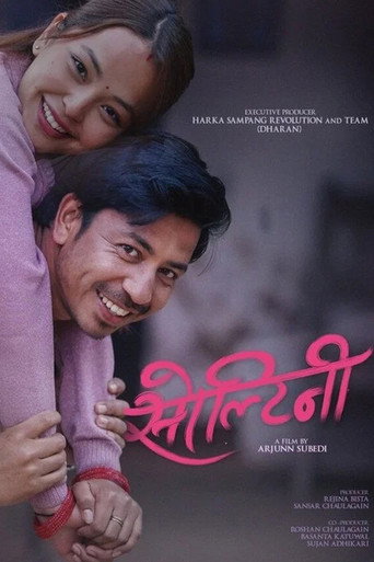 Soltini movie poster