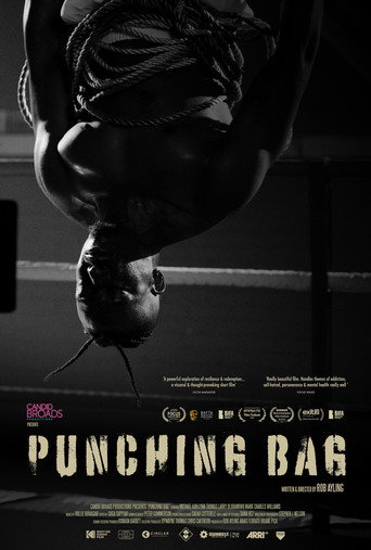 Punching Bag movie poster