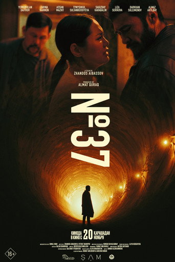 №37 movie poster