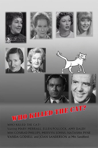 Who Killed the Cat? movie poster