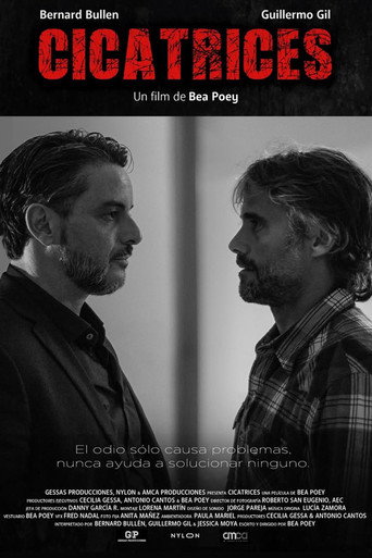 Cicatrices movie poster