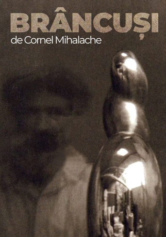 Brâncuși movie poster