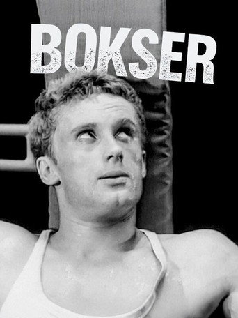 Boxer movie poster