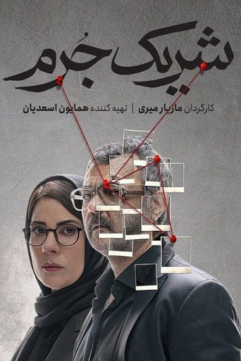 Accomplice movie poster
