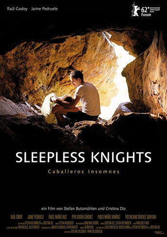 Sleepless Knights movie poster