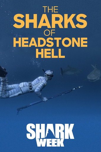The Sharks Of Headstone Hell movie poster