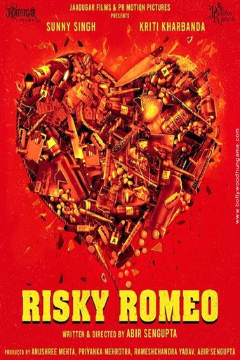 Risky Romeo movie poster