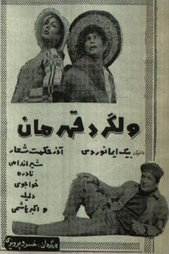 Picaresque movie poster