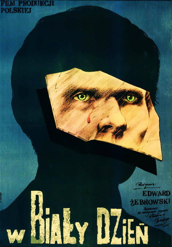 In Broad Daylight movie poster