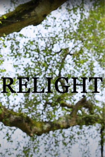 Relight movie poster