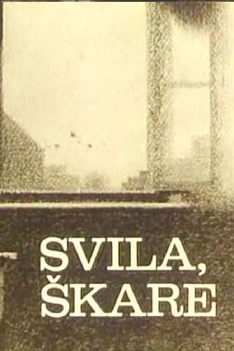 The Silk, the Shears movie poster