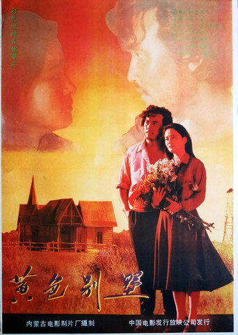 黄色别墅 movie poster