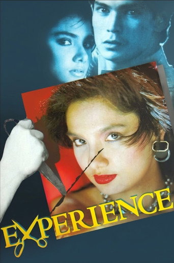 Experience movie poster
