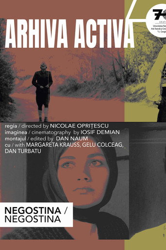 Negostina movie poster