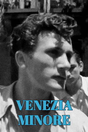 Venezia Minore movie poster