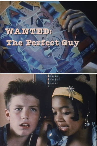 Wanted: The Perfect Guy movie poster
