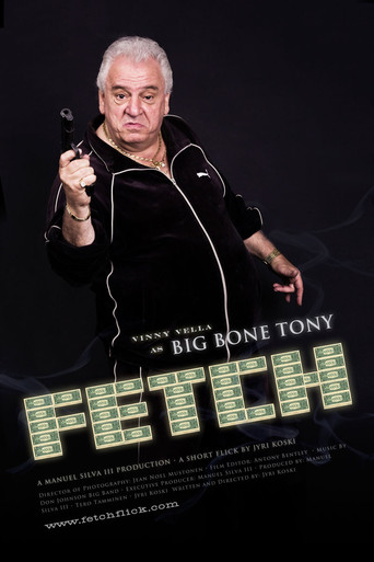 Fetch movie poster