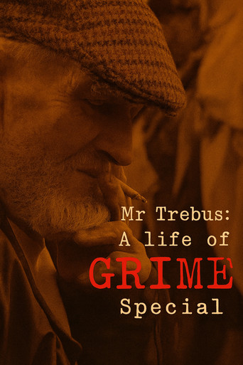 Mr Trebus: A Life of Grime movie poster