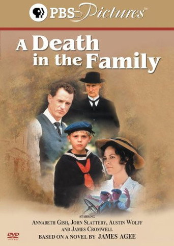 A Death in the Family movie poster