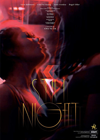 Still Night movie poster