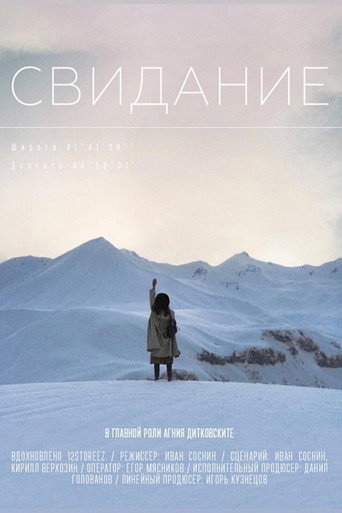 The Date movie poster