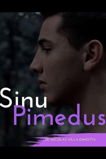 Sinu Pimedus movie poster