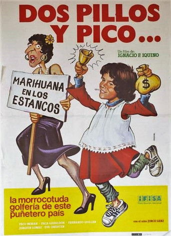 Dos pillos y pico movie poster