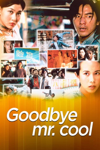 Goodbye, Mr. Cool movie poster