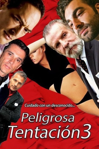 Peligrosa tentación 3 movie poster