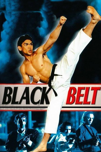 Blackbelt movie poster