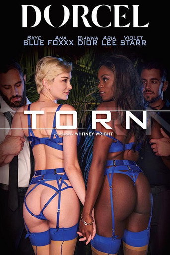 Torn movie poster