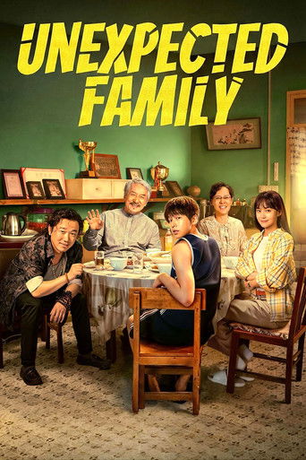 Unexpected Family movie poster