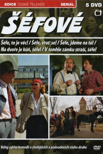 Chief, There Is a Horse in the Backyard movie poster
