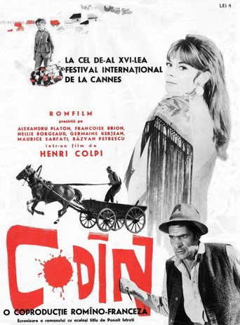 Codine movie poster