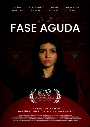 At the Crucial Phase movie poster