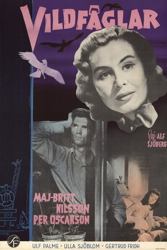 Wild Birds movie poster