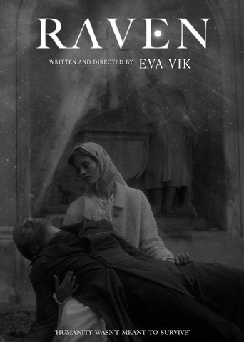 Raven movie poster