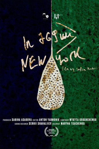 In 769 km, New York movie poster