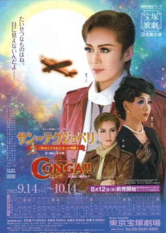 Saint-Exupéry -The Pilot Who Became "The Little Prince"- movie poster