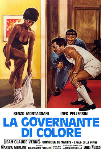 Una bella governante di colore movie poster