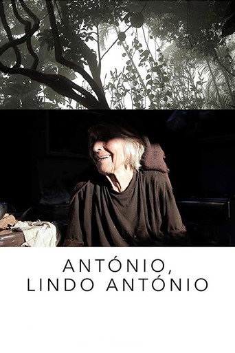 António, Dashing António movie poster