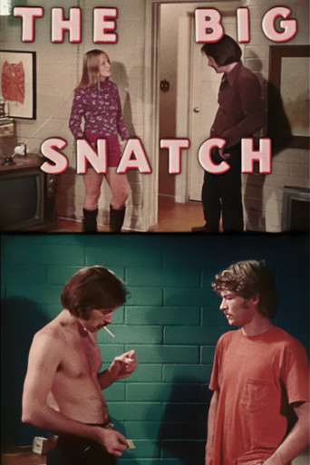 The Big Snatch movie poster