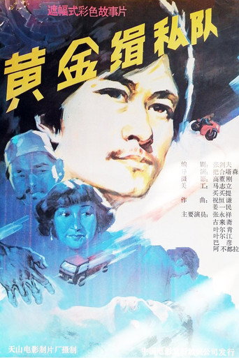 黄金缉私队 movie poster