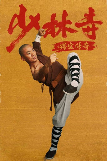 Rising Shaolin: The Protector movie poster